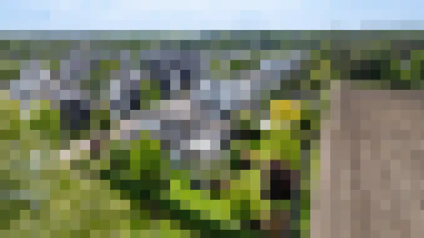 Grutto 23 Venray thumbnail 72