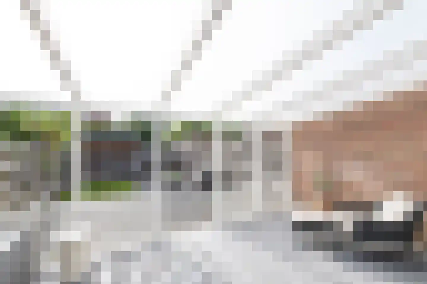 Grutto 25 Obdam thumbnail 36
