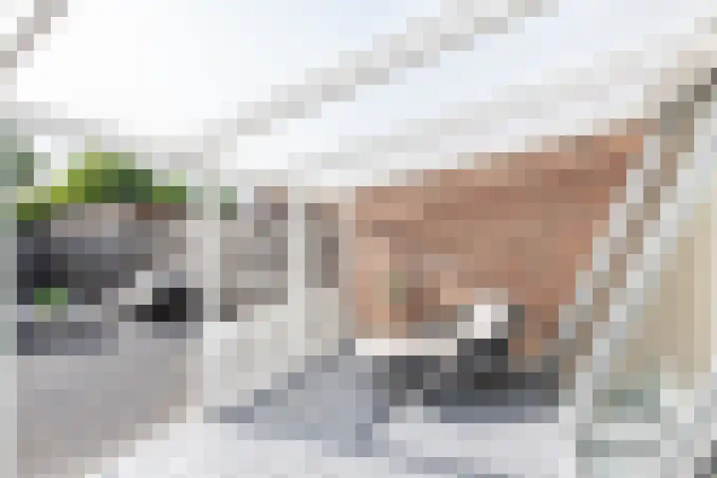 Grutto 25 Obdam thumbnail 39