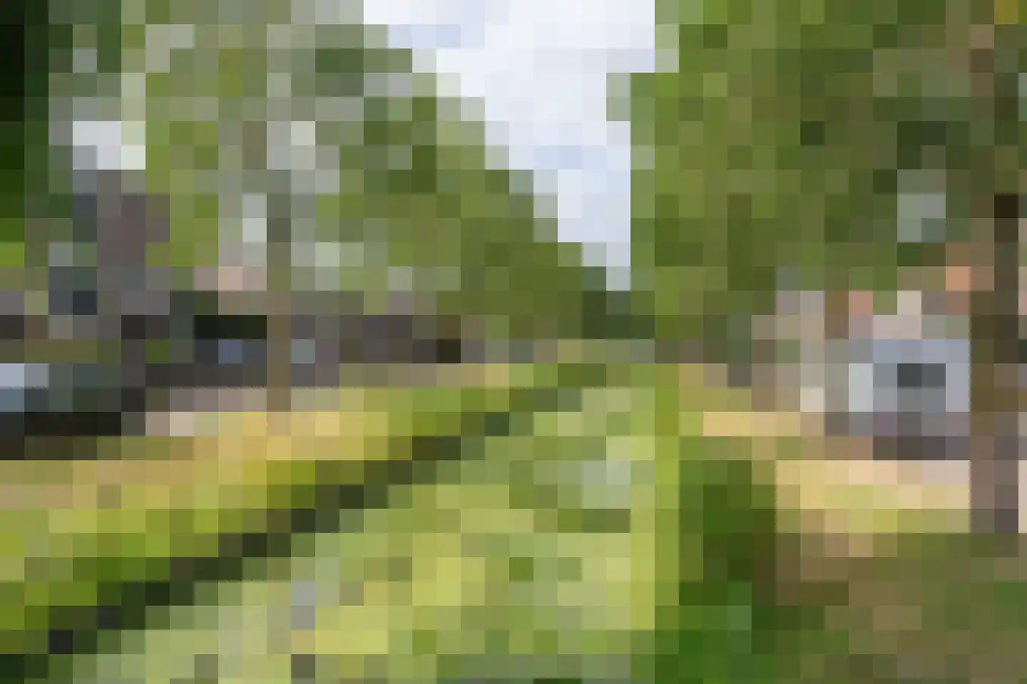Grutto 25 Obdam thumbnail 53