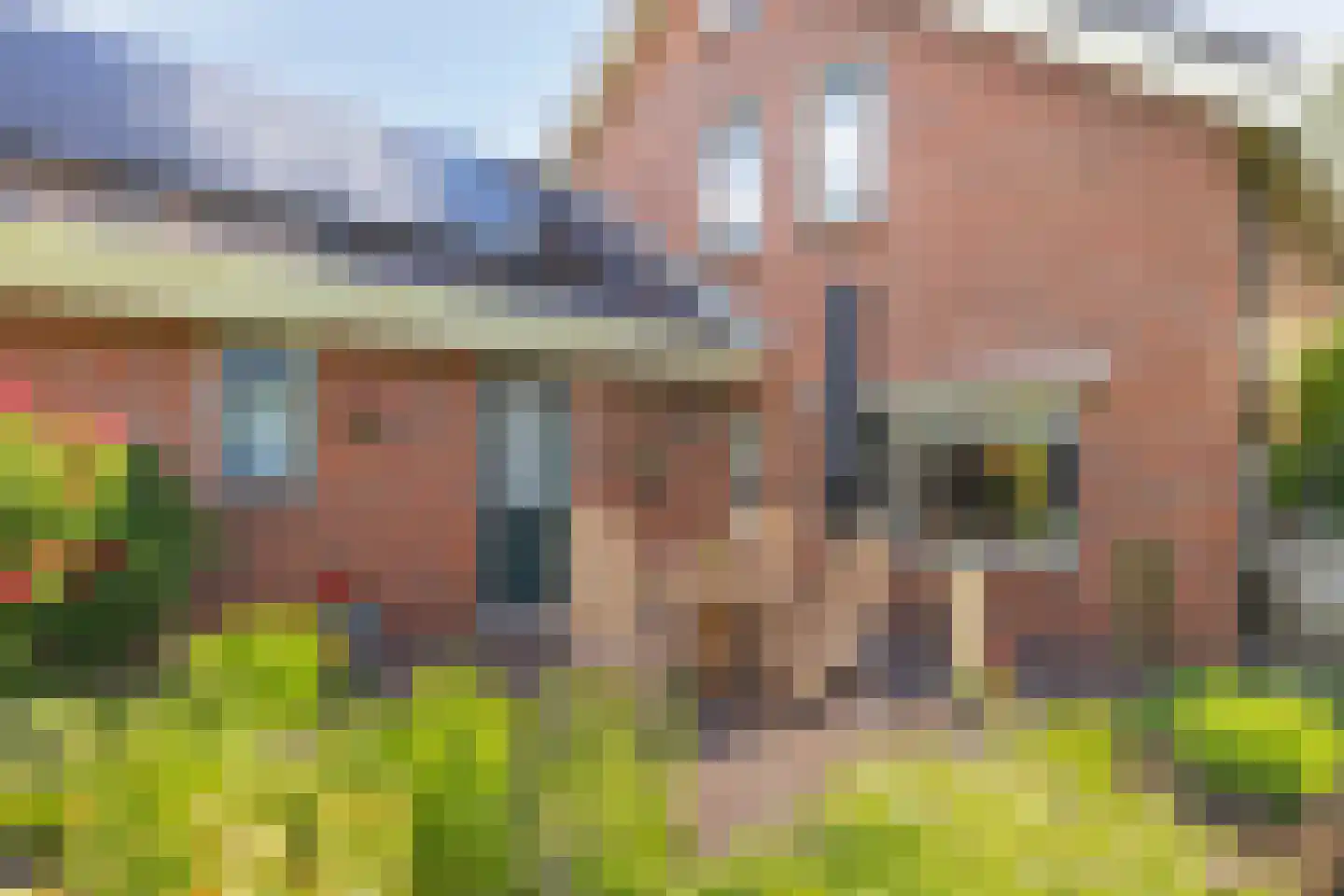 Grutto 27 Grootegast thumbnail 31