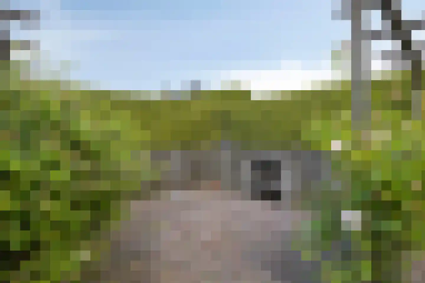Grutto 27 Grootegast thumbnail 34