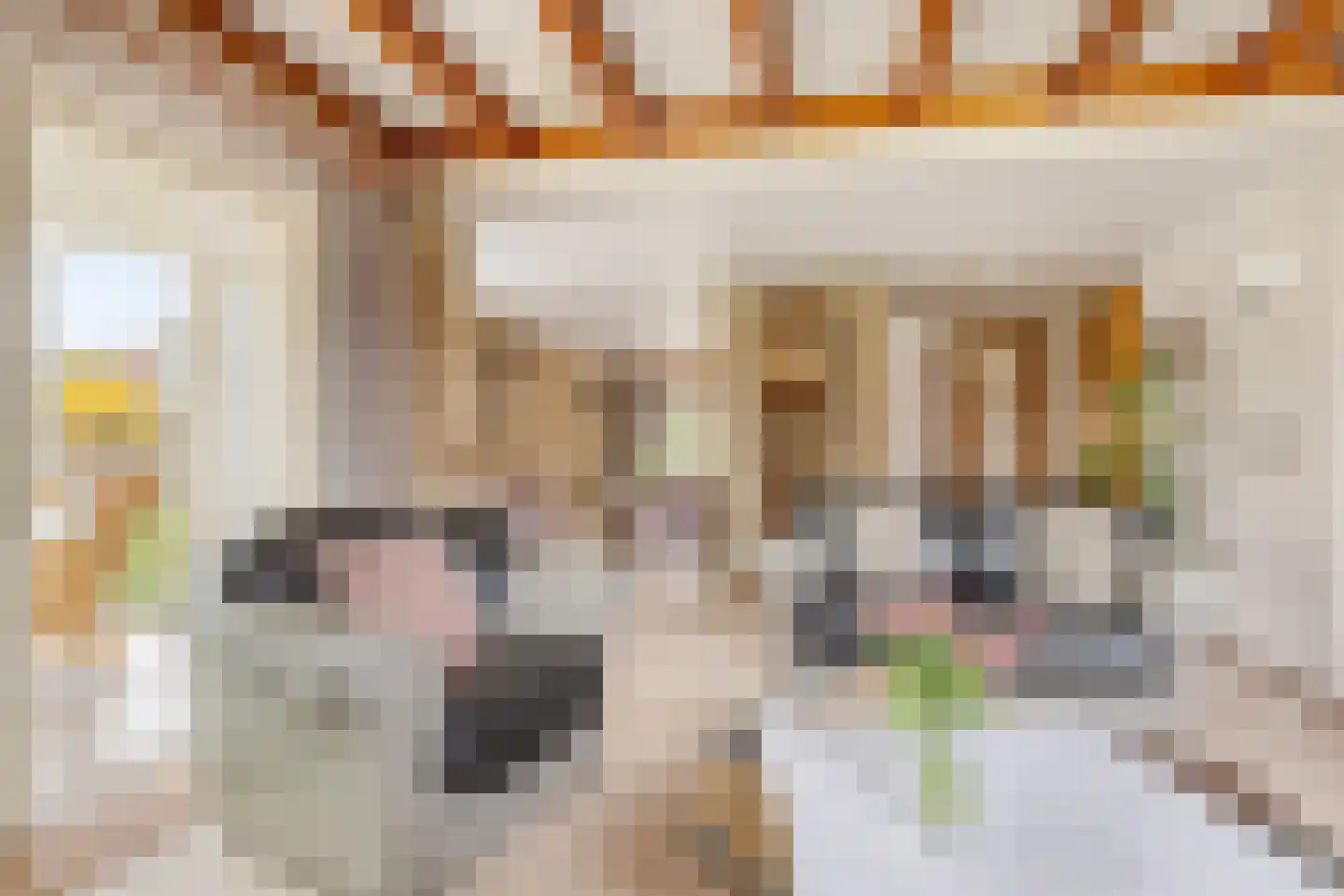 Grutto 27 Grootegast thumbnail 5