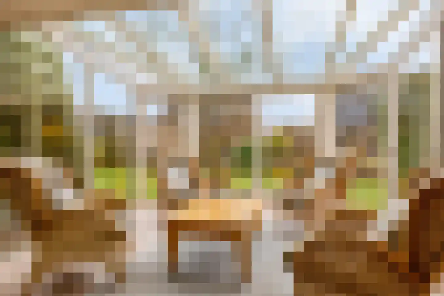 Grutto 27 Grootegast thumbnail 6