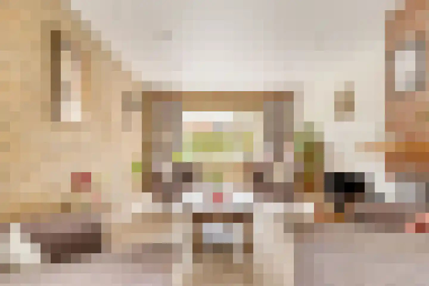 Grutto 27 Grootegast thumbnail 8