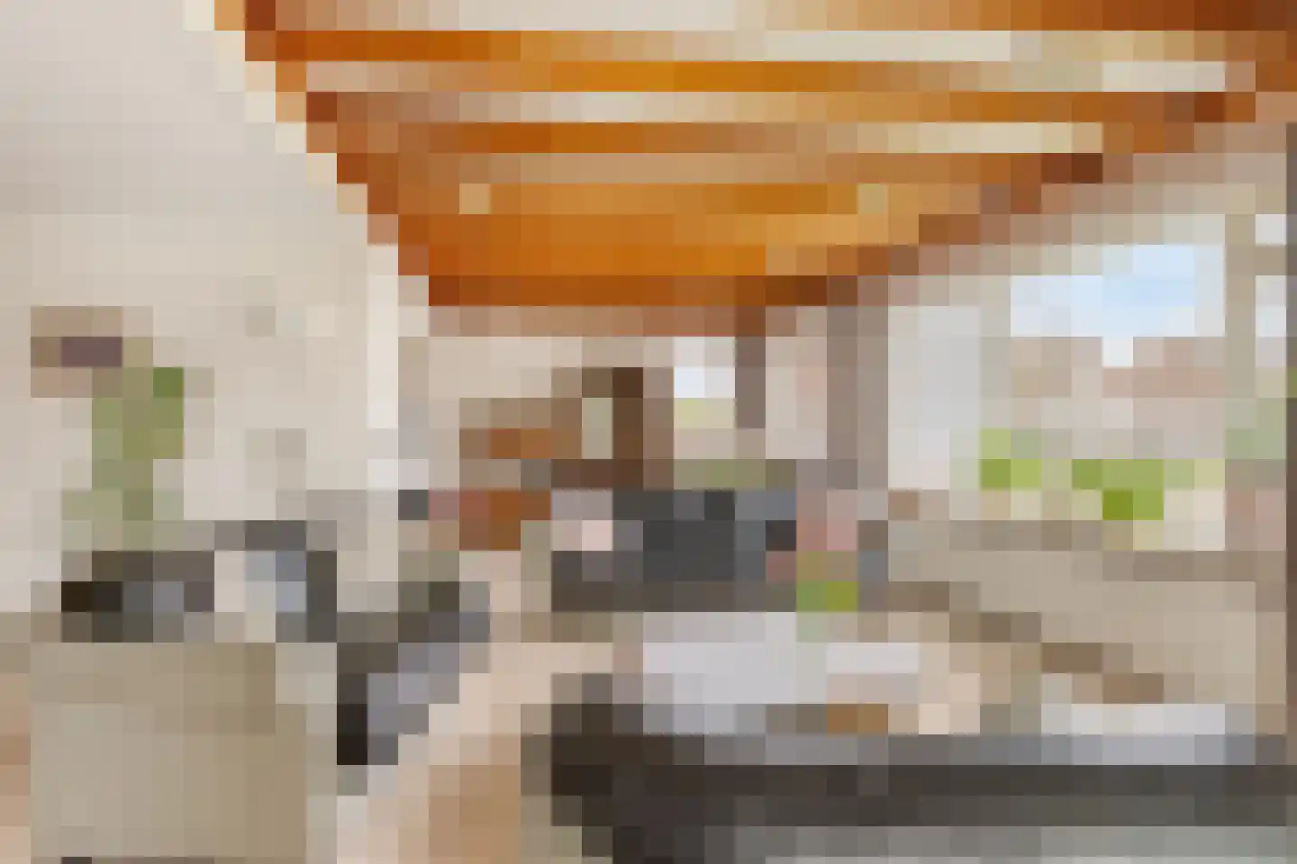 Grutto 27 Grootegast thumbnail 9