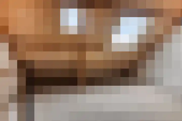 Grutto 30 Oud-Beijerland thumbnail 23