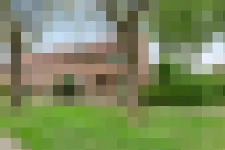 Grutto 30 Oud-Beijerland thumbnail 24