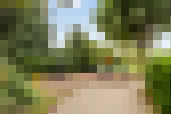 Grutto 30 Oud-Beijerland thumbnail 26