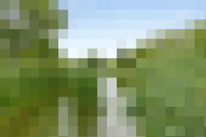 Grutto 30 Oud-Beijerland thumbnail 27