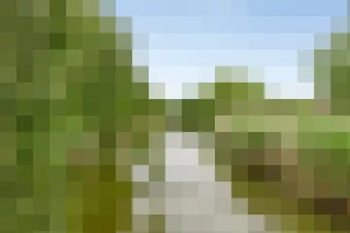 Grutto 30 Oud-Beijerland thumbnail 6