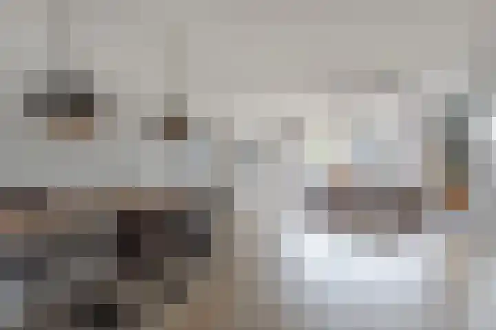 Grutto 31 Meerkerk thumbnail 11