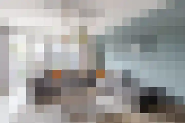Grutto 31 Meerkerk thumbnail 13