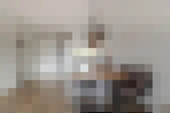 Grutto 31 Meerkerk thumbnail 14