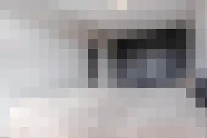 Grutto 31 Meerkerk thumbnail 18