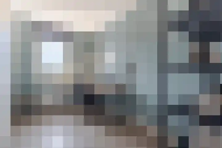 Grutto 31 Meerkerk thumbnail 19