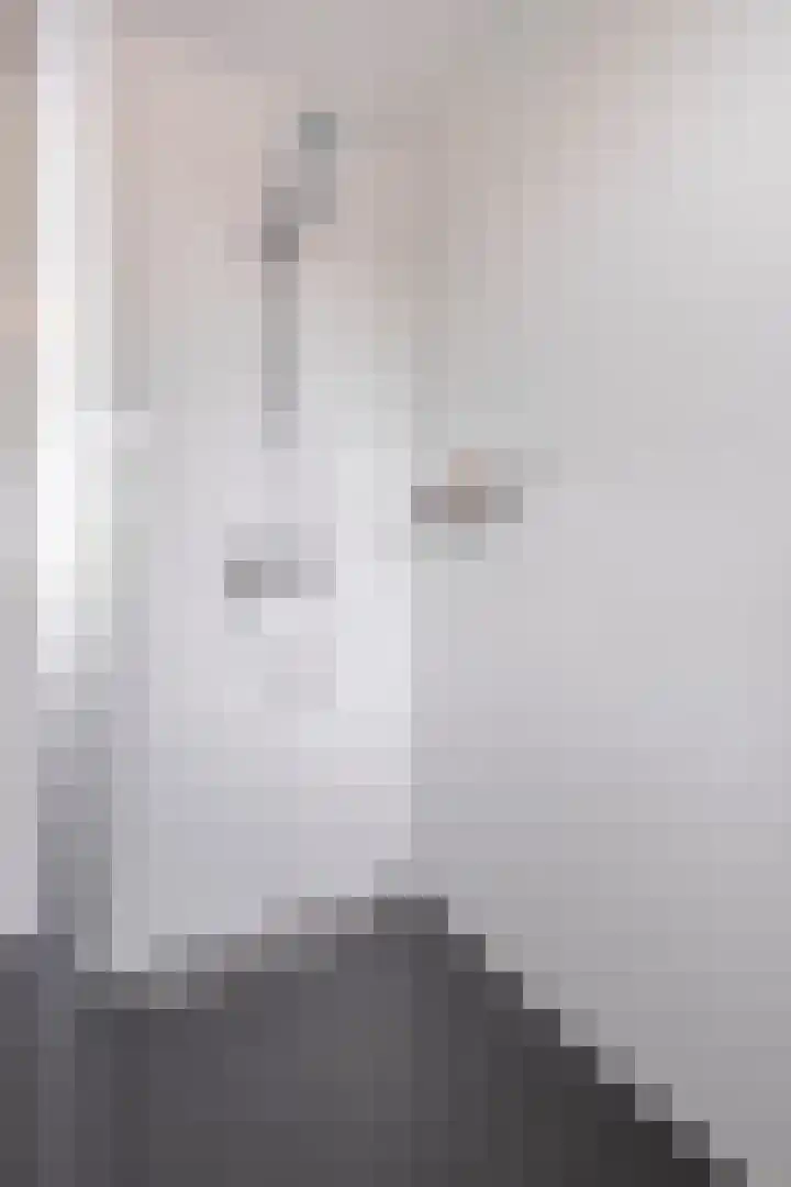 Grutto 31 Meerkerk thumbnail 22