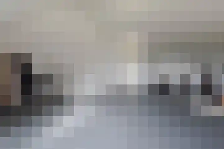 Grutto 31 Meerkerk thumbnail 24