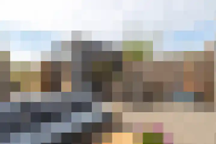 Grutto 31 Meerkerk thumbnail 26
