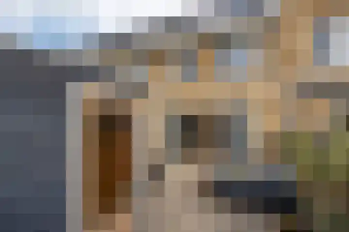 Grutto 31 Meerkerk thumbnail 27