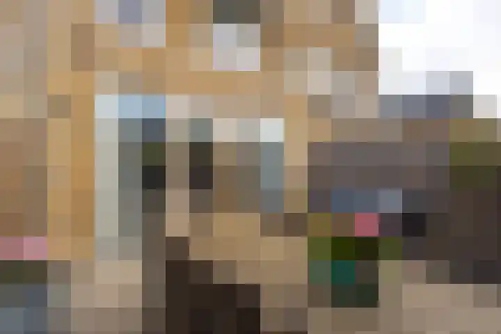 Grutto 31 Meerkerk thumbnail 28