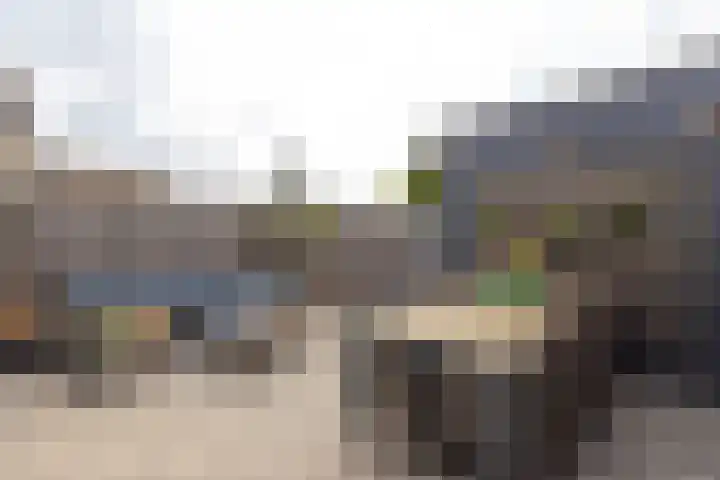 Grutto 31 Meerkerk thumbnail 29