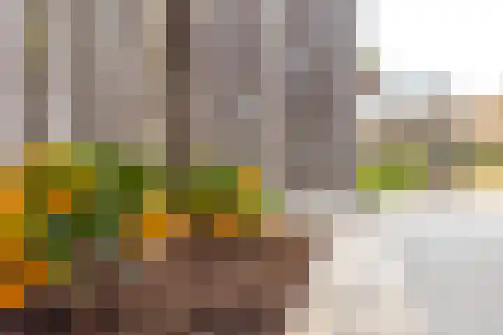 Grutto 31 Meerkerk thumbnail 30