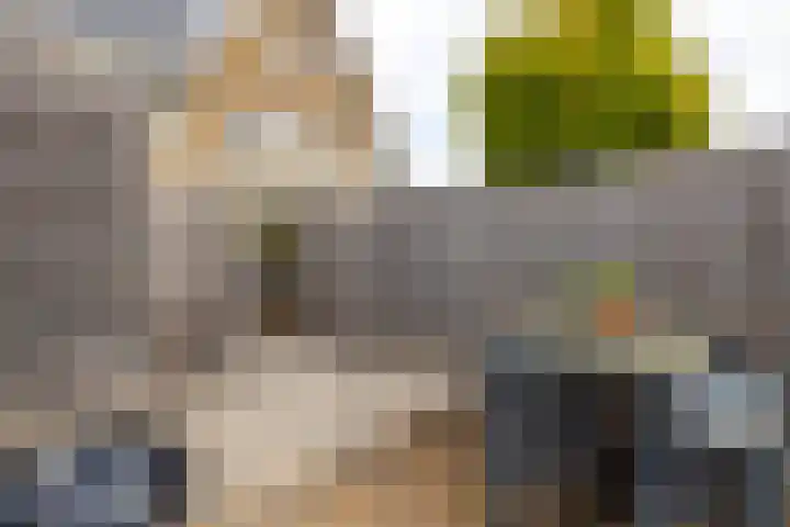 Grutto 31 Meerkerk thumbnail 31