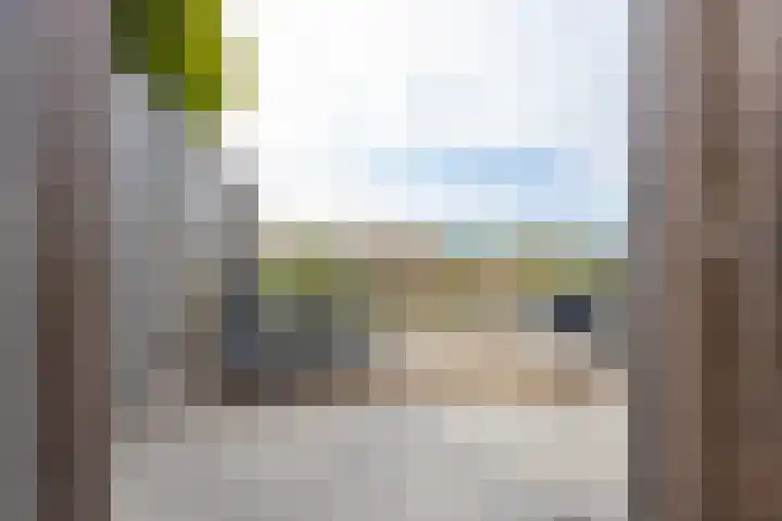 Grutto 31 Meerkerk thumbnail 32