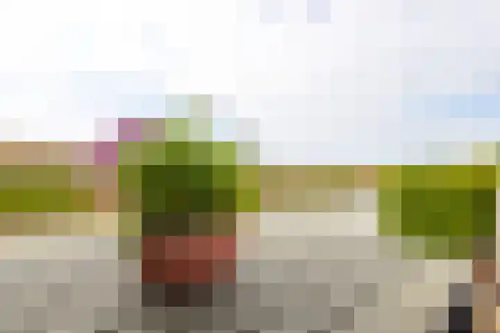 Grutto 31 Meerkerk thumbnail 33