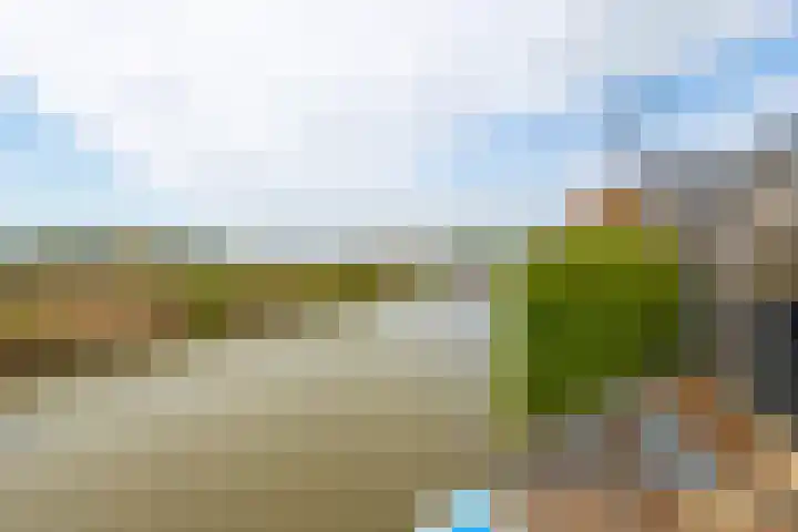 Grutto 31 Meerkerk thumbnail 34