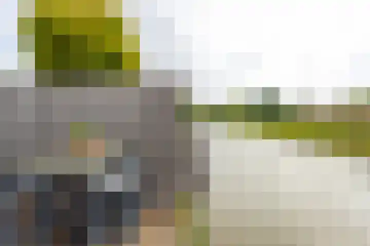 Grutto 31 Meerkerk thumbnail 35