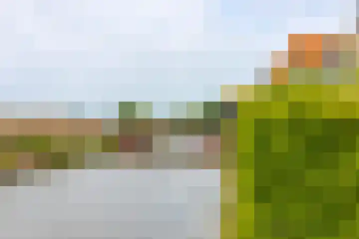 Grutto 31 Meerkerk thumbnail 36