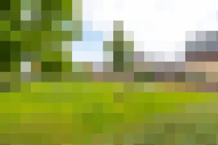 Grutto 31 Meerkerk thumbnail 39
