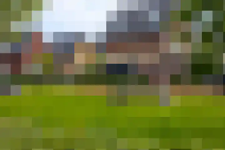 Grutto 31 Meerkerk thumbnail 40