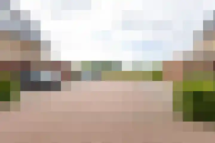 Grutto 31 Meerkerk thumbnail 41