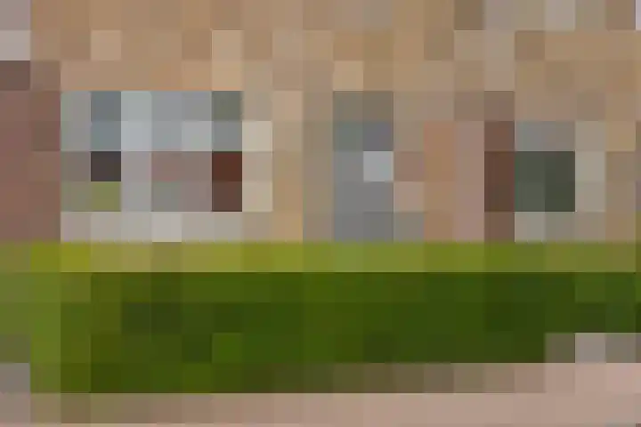 Grutto 31 Meerkerk thumbnail 5