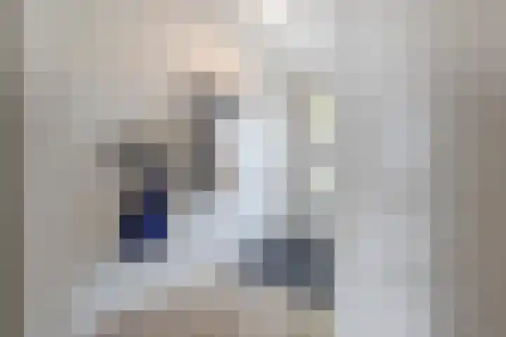 Grutto 31 Meerkerk thumbnail 6