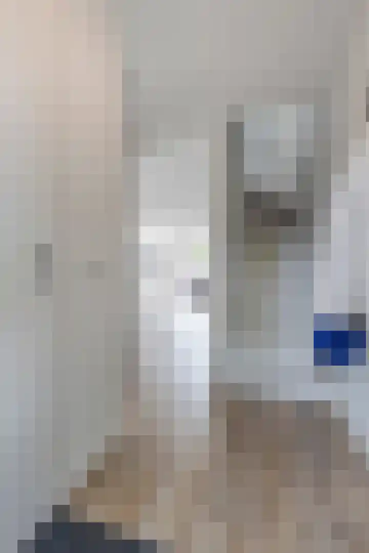 Grutto 31 Meerkerk thumbnail 7