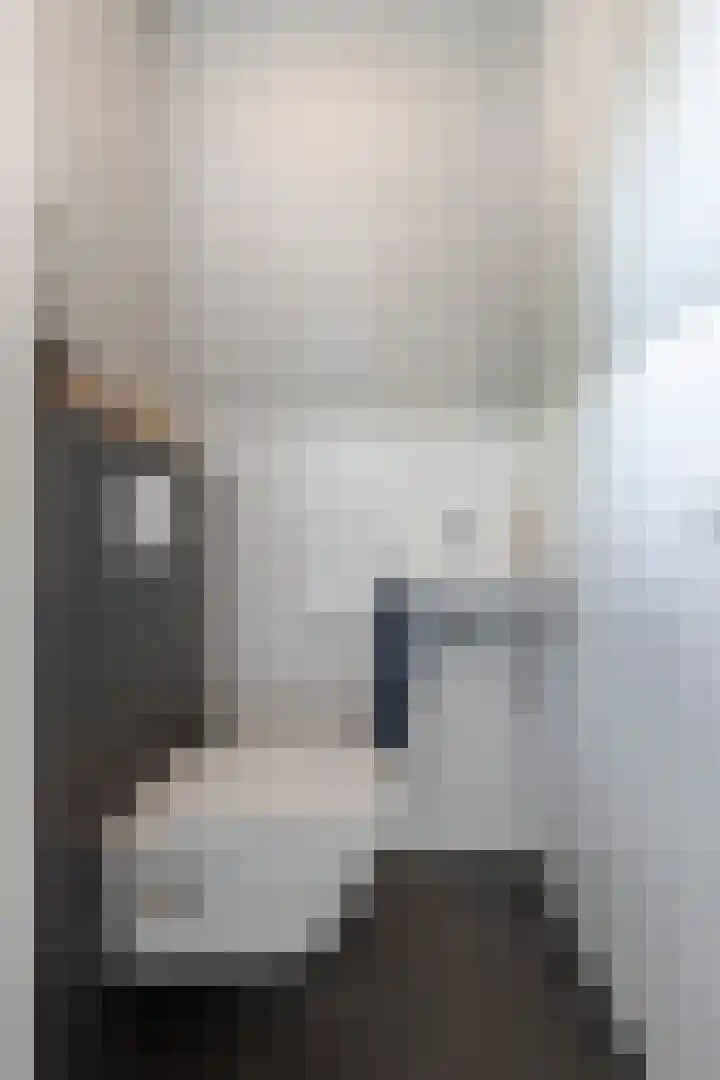 Grutto 31 Meerkerk thumbnail 8