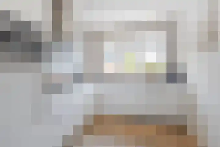 Grutto 31 Meerkerk thumbnail 9