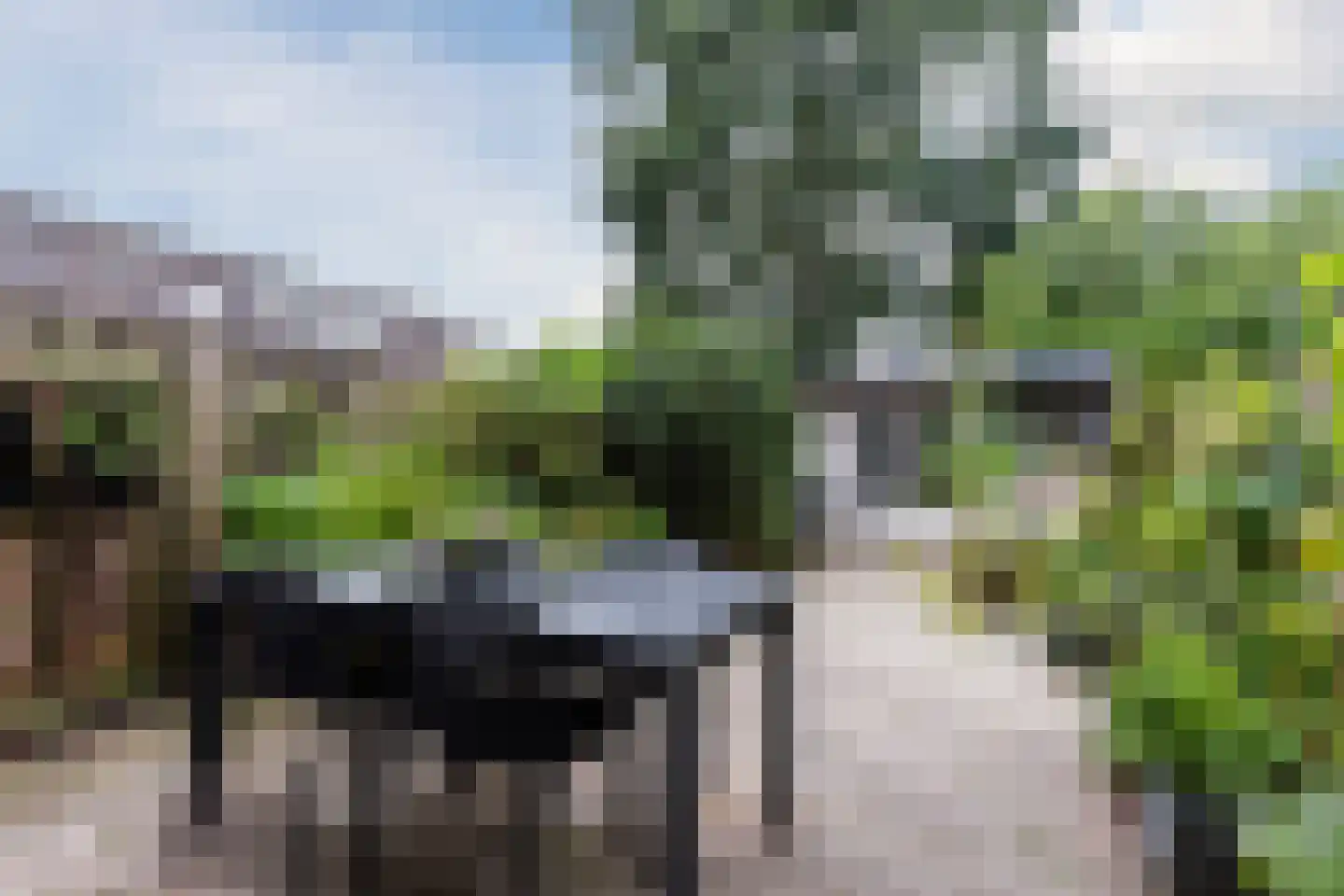 Grutto 31 Mijdrecht thumbnail 35