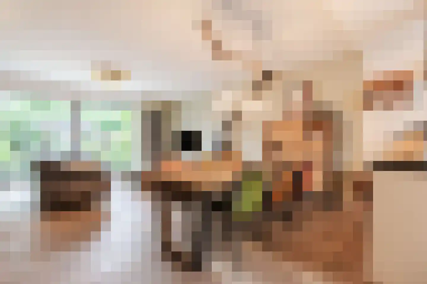 Grutto 31 Mijdrecht thumbnail 4