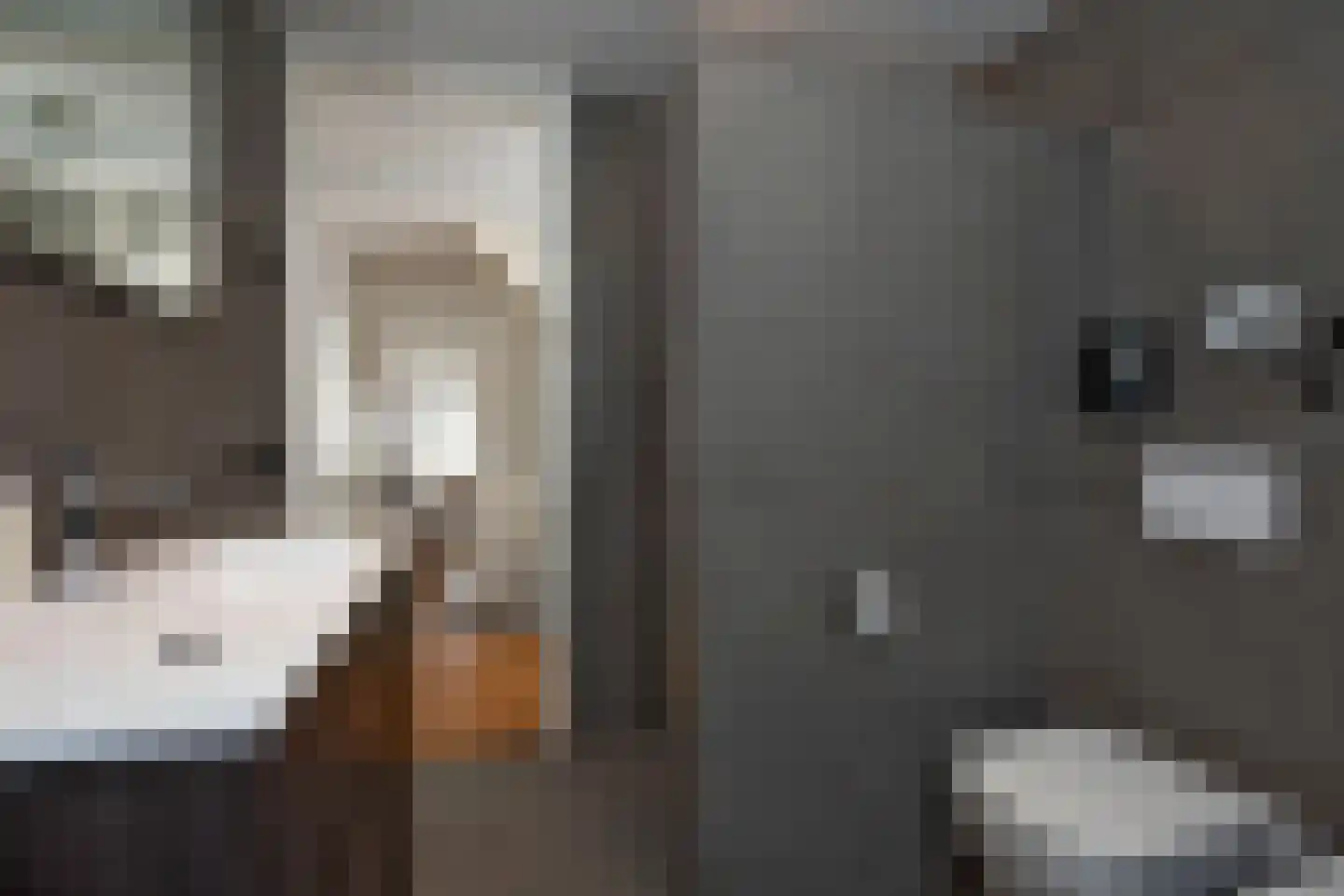 Grutto 31 Rijssen thumbnail 26