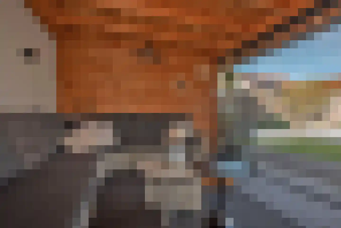 Grutto 31 Rijssen thumbnail 5