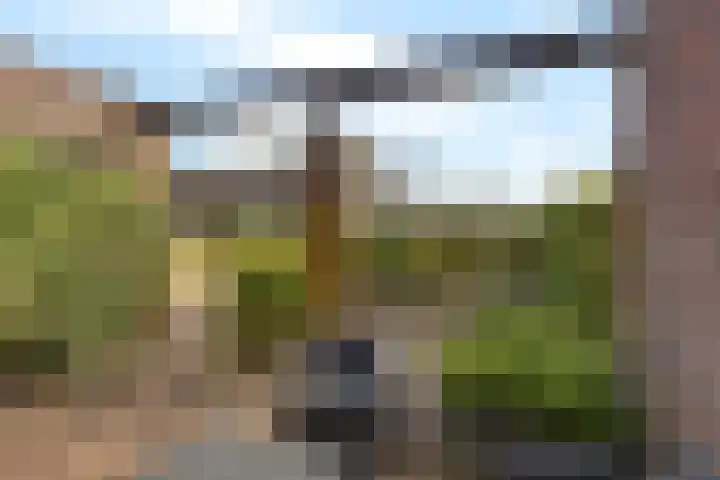 Grutto 32 Groningen thumbnail 12