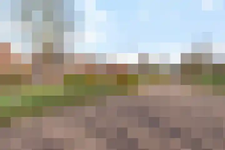 Grutto 32 Groningen thumbnail 14