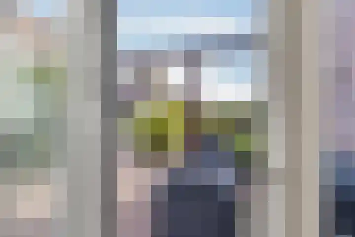 Grutto 32 Groningen thumbnail 28