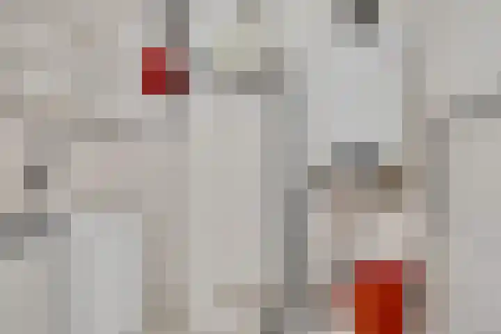 Grutto 32 Groningen thumbnail 43