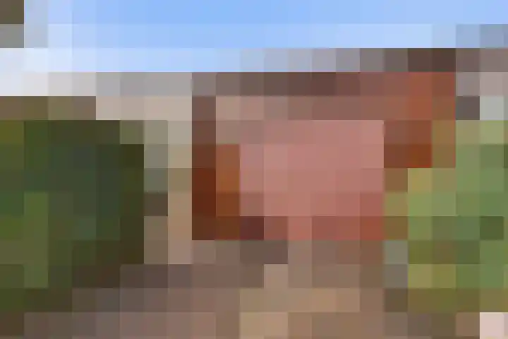 Grutto 32 Groningen thumbnail 8